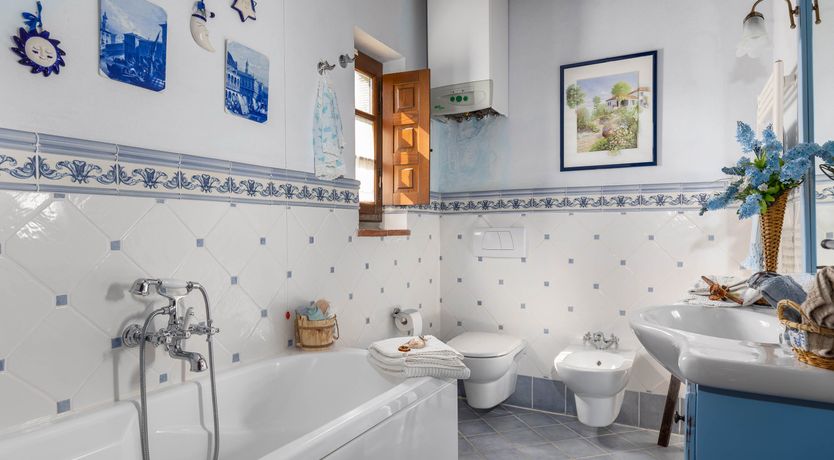 Photo of Tuscan Rose