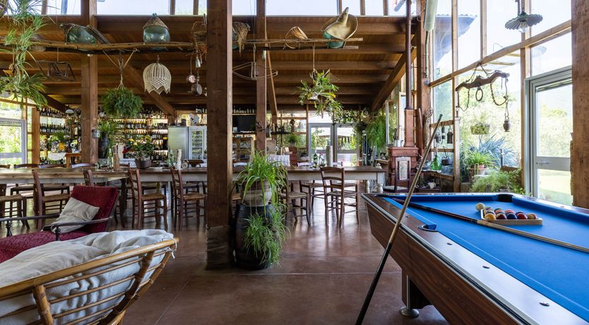 Photo of Tuscan Rose