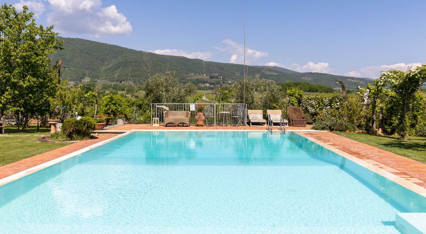 Photo of Tuscan Rose