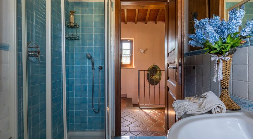 Photo of Tuscan Rose