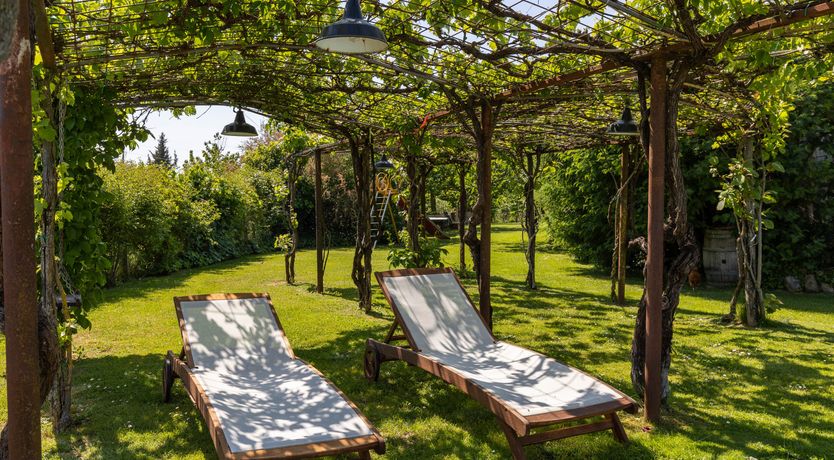 Photo of Tuscan Rose