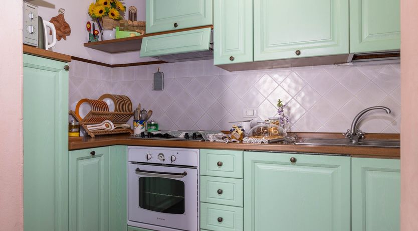 Photo of Tuscan Rose