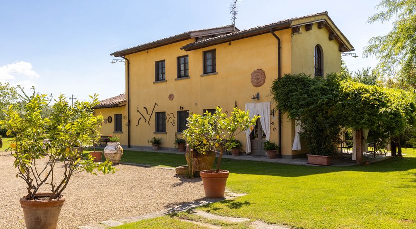 Photo of Tuscan Rose