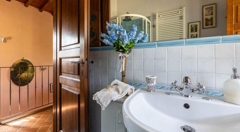 Photo of Tuscan Rose