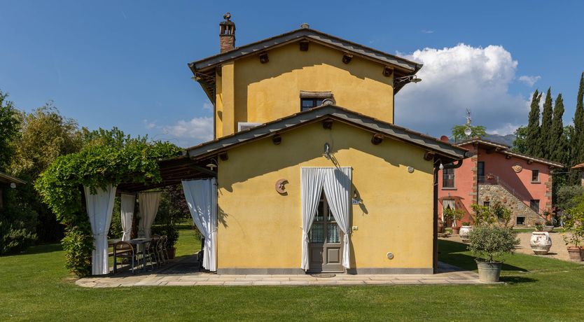 Photo of Tuscan Rose