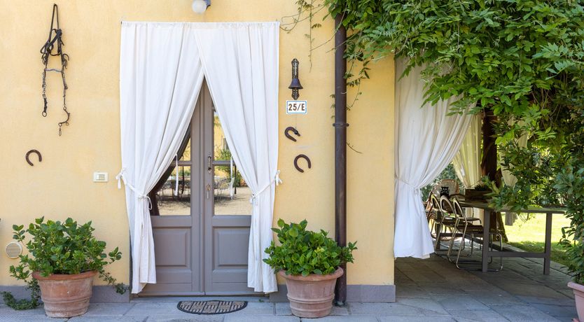 Photo of Tuscan Rose