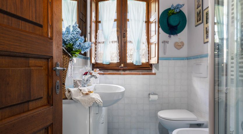 Photo of Tuscan Rose