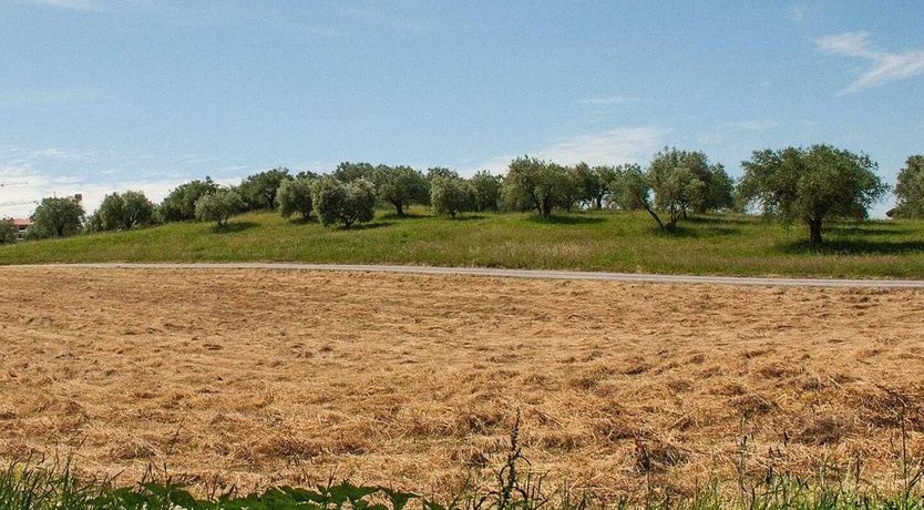 Photo of The Bright Star