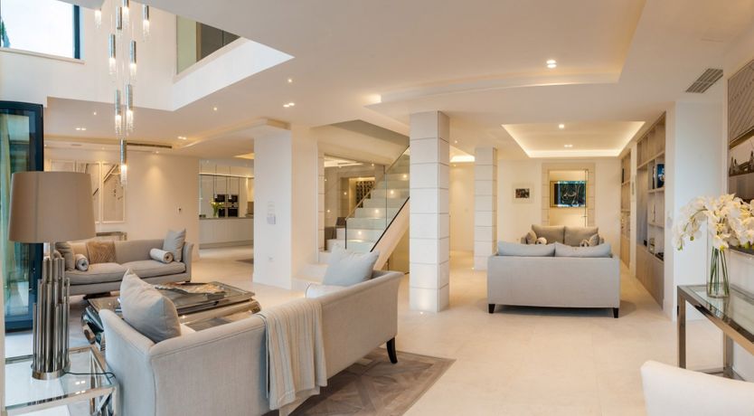 Photo of Dreams Through The Leaves