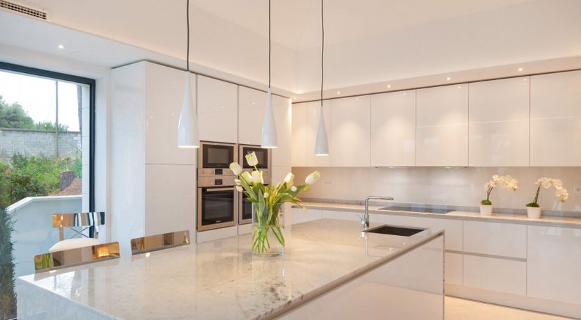 Photo of Dreams Through The Leaves