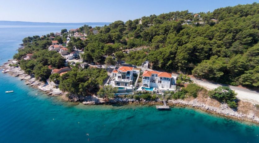 Photo of Dreams Through The Leaves