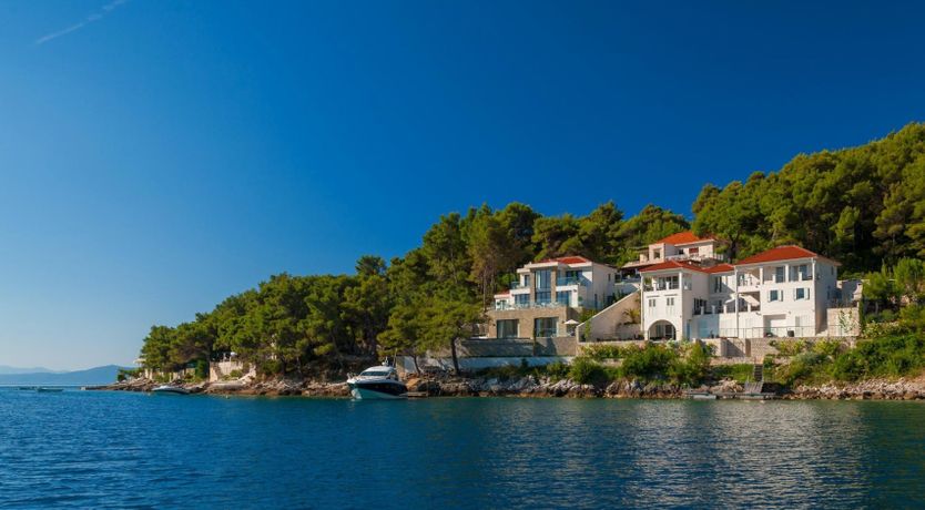 Photo of Dreams Through The Leaves