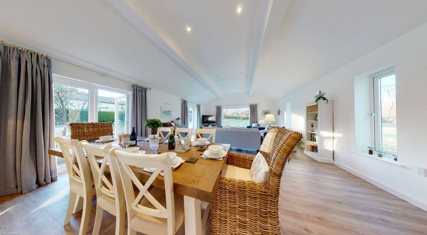 Photo of Willow Warbler