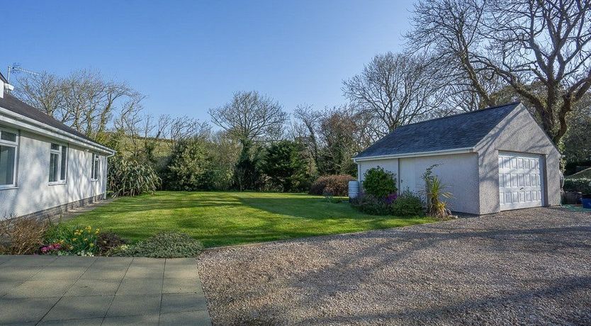 Photo of Willow Warbler