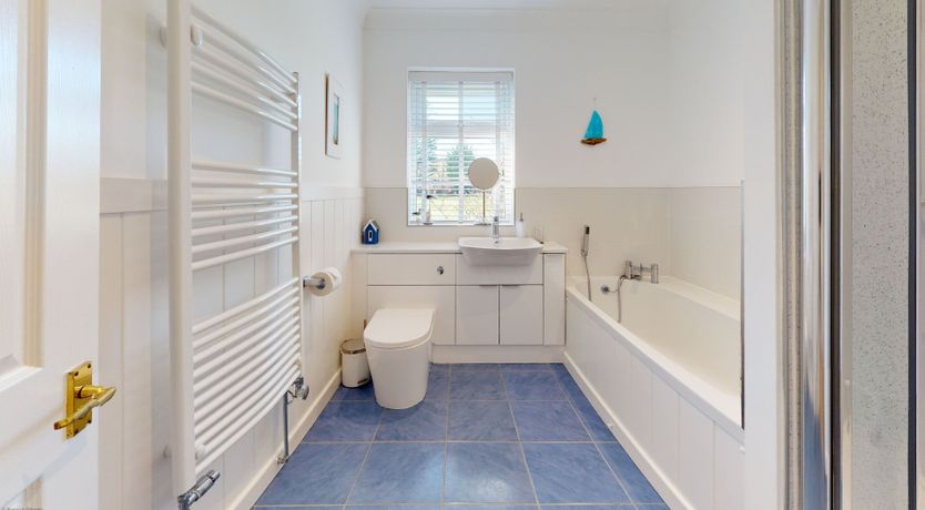 Photo of Willow Warbler