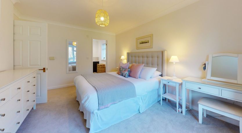 Photo of Willow Warbler