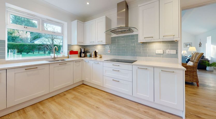 Photo of Willow Warbler