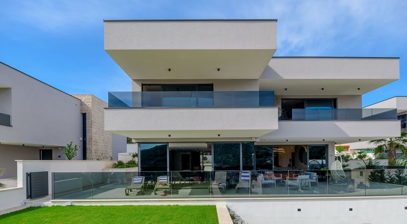 Photo of Under the Cherry Moon