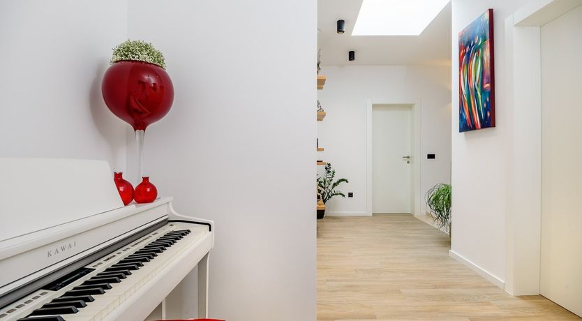 Photo of Under the Cherry Moon