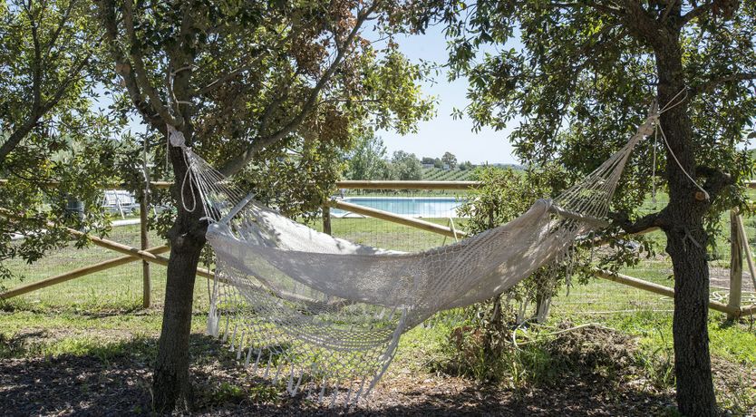 Photo of The Lavender Harvest