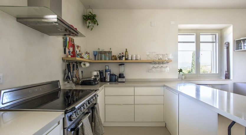 Photo of The Lavender Harvest