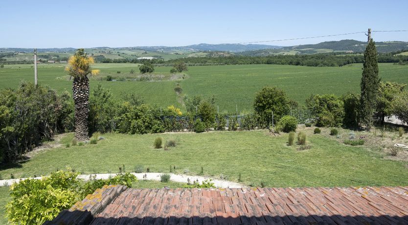 Photo of The Lavender Harvest