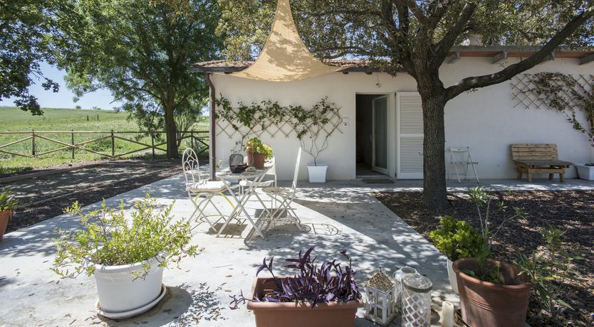 Photo of The Lavender Harvest