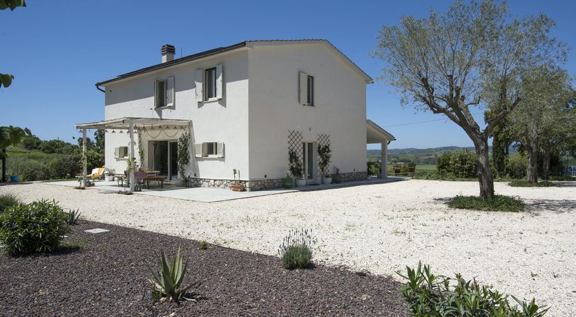 Photo of The Lavender Harvest