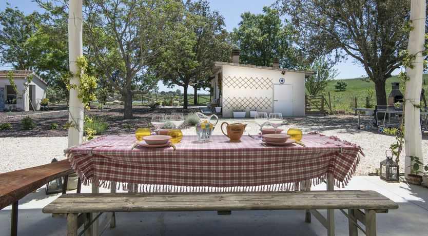 Photo of The Lavender Harvest