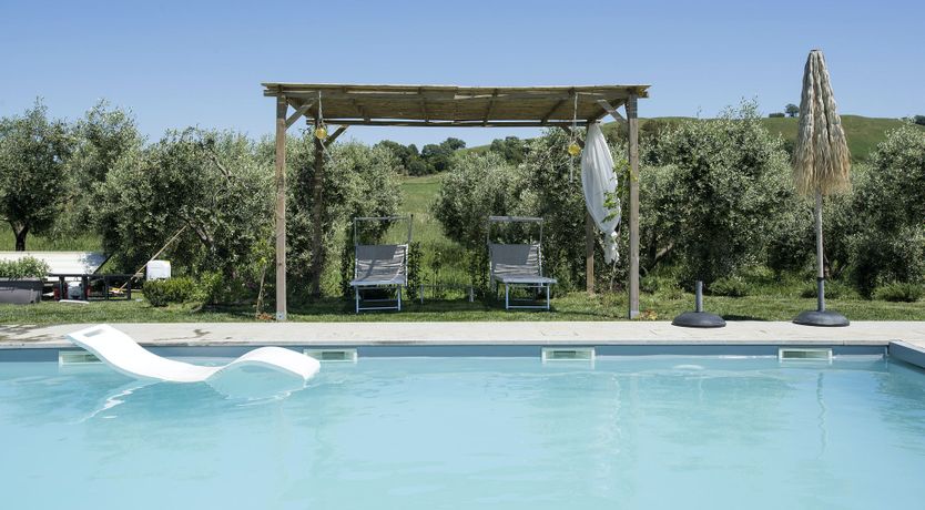 Photo of The Lavender Harvest