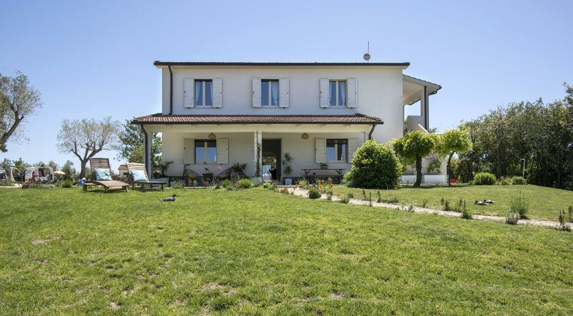 Photo of The Lavender Harvest