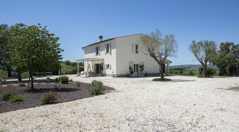 Photo of The Lavender Harvest