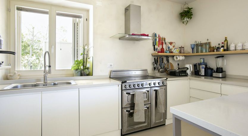 Photo of The Lavender Harvest