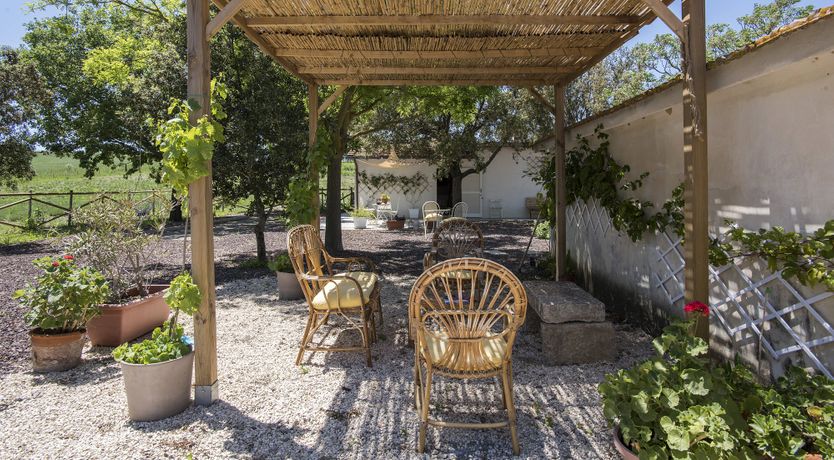 Photo of The Lavender Harvest