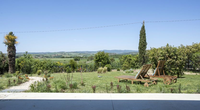 Photo of The Lavender Harvest