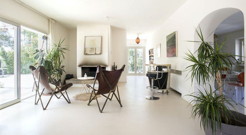 Photo of The Lavender Harvest