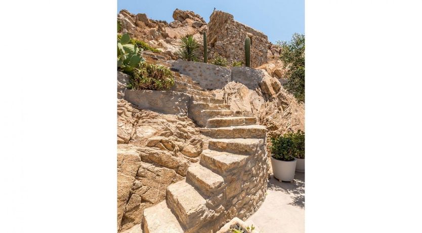 Photo of Driftwood & Olives