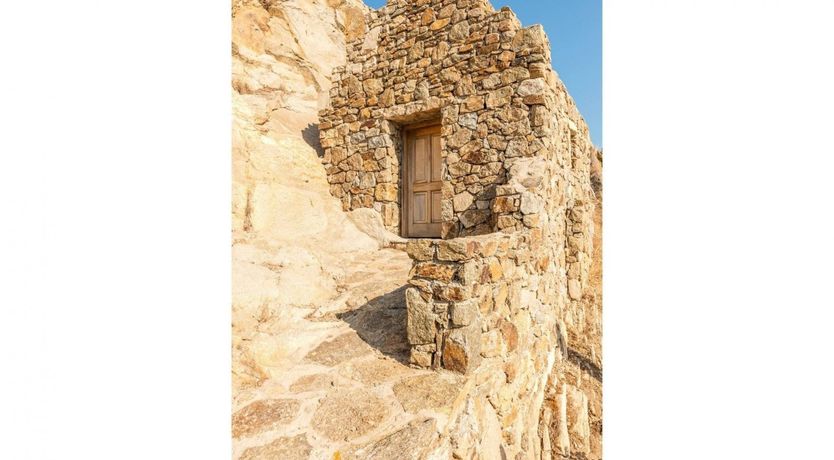 Photo of Driftwood & Olives