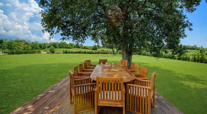 Photo of Citrus Tree Breeze