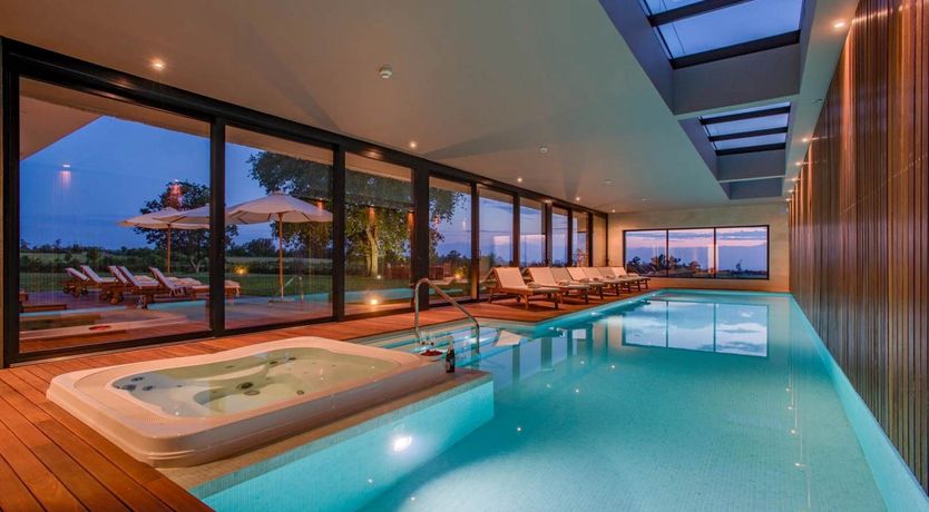 Photo of Citrus Tree Breeze