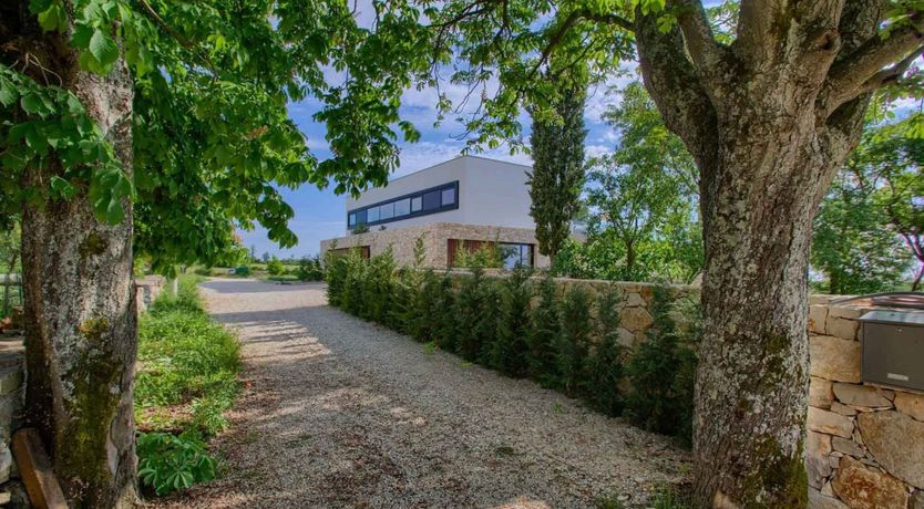 Photo of Citrus Tree Breeze