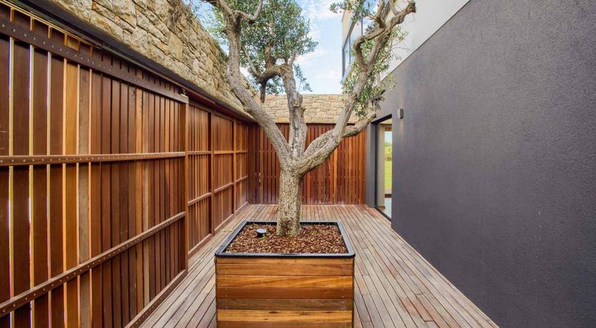 Photo of Citrus Tree Breeze