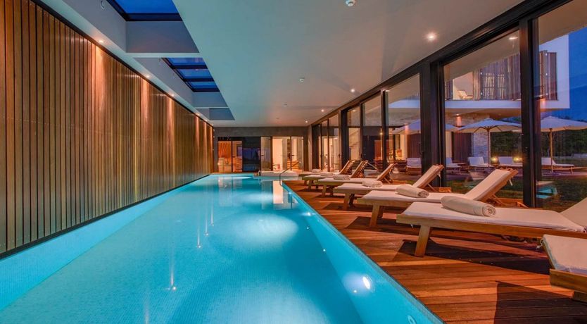 Photo of Citrus Tree Breeze