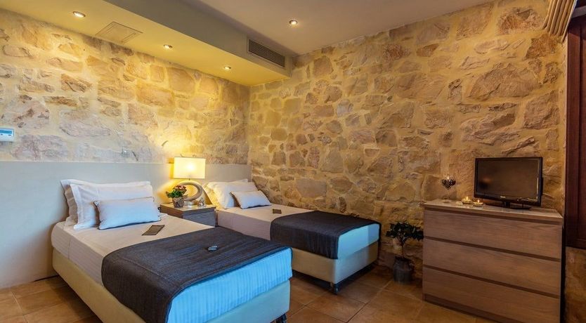 Photo of Zakynthian Turtle