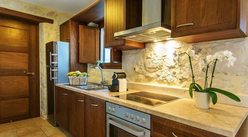 Photo of Zakynthian Turtle