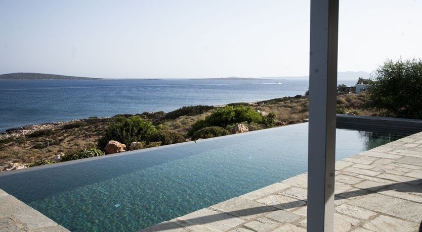 Photo of In The Mustardseed Sun