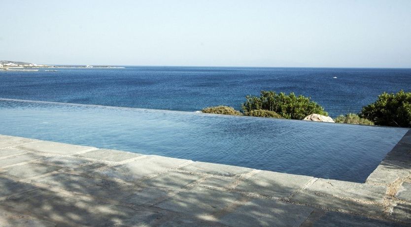 Photo of In The Mustardseed Sun