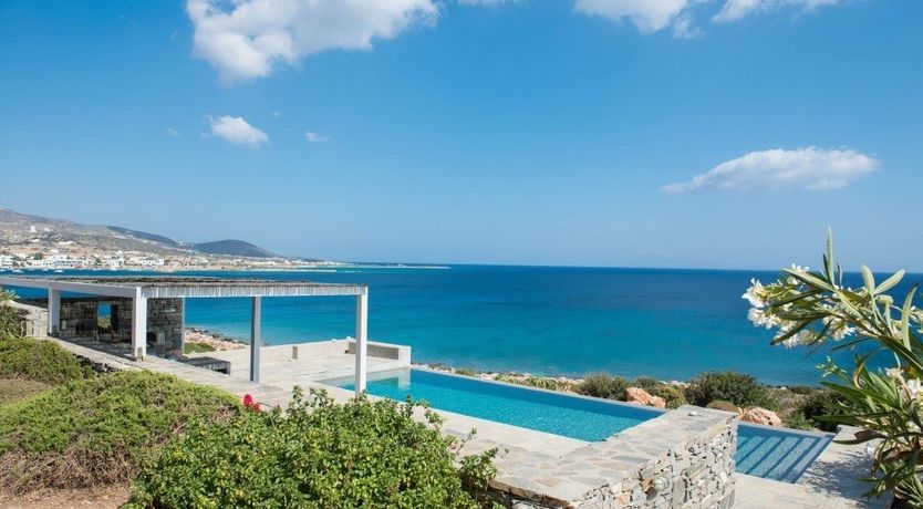 Photo of In The Mustardseed Sun