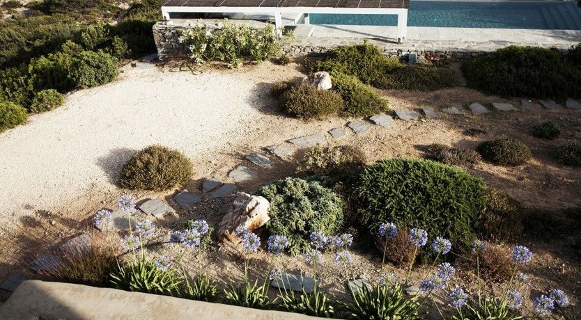 Photo of In The Mustardseed Sun