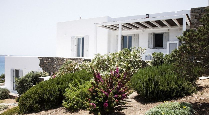 Photo of In The Mustardseed Sun